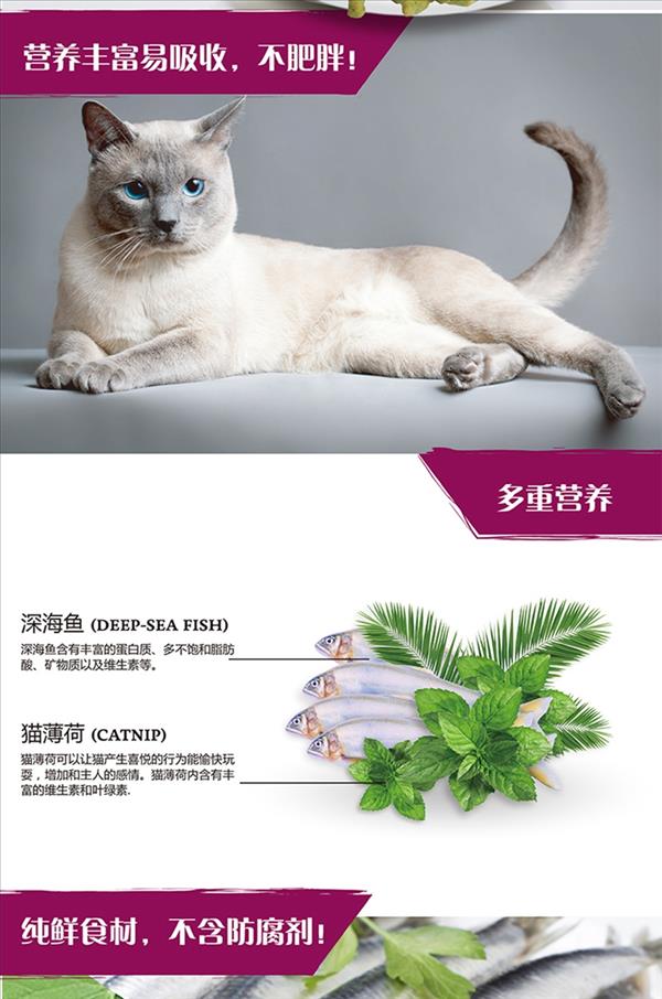 柏可心 馋嘴猫配方天然猫薄荷饼干猫零食 100g