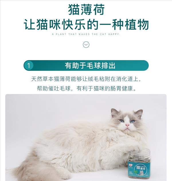 怡亲Yoken 去毛球清新口气猫咪零食猫薄荷叶猫薄荷粉 20g*3罐