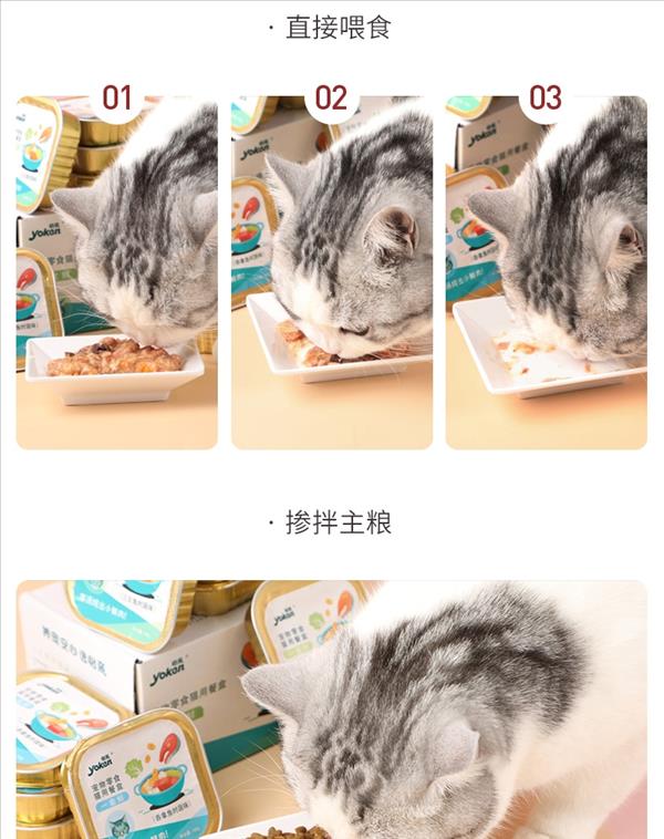 怡亲Yoken 猫咪零食三文鱼时蔬营养配方猫罐头餐盒 100g