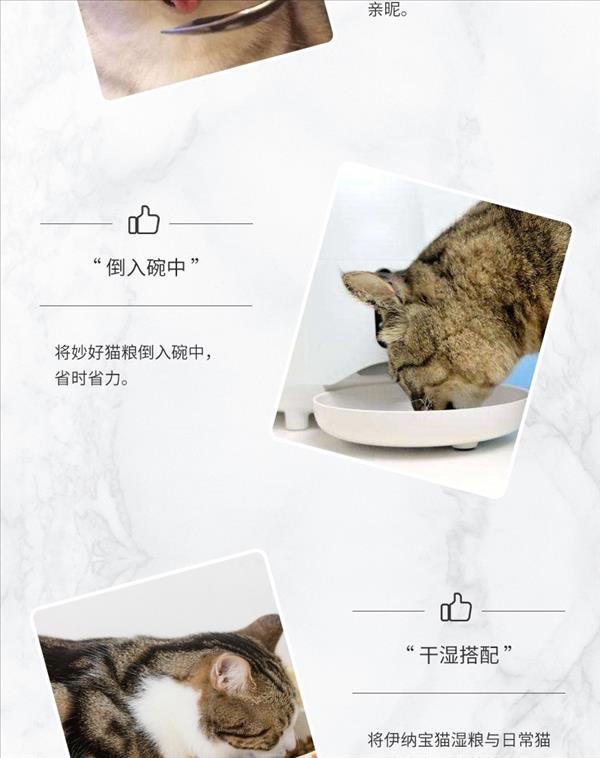 伊纳宝 烤系列晚宴  烤鸡小胸肉、蟹肉棒与扇贝柱配方50g 猫零食 适口性好 无防腐剂