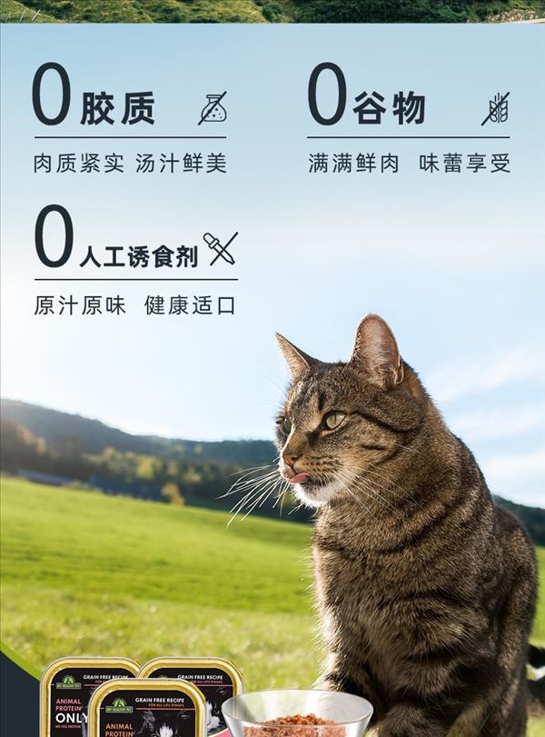 活力枫叶 无谷羊肉餐盒全猫用 100g*4 适口性好