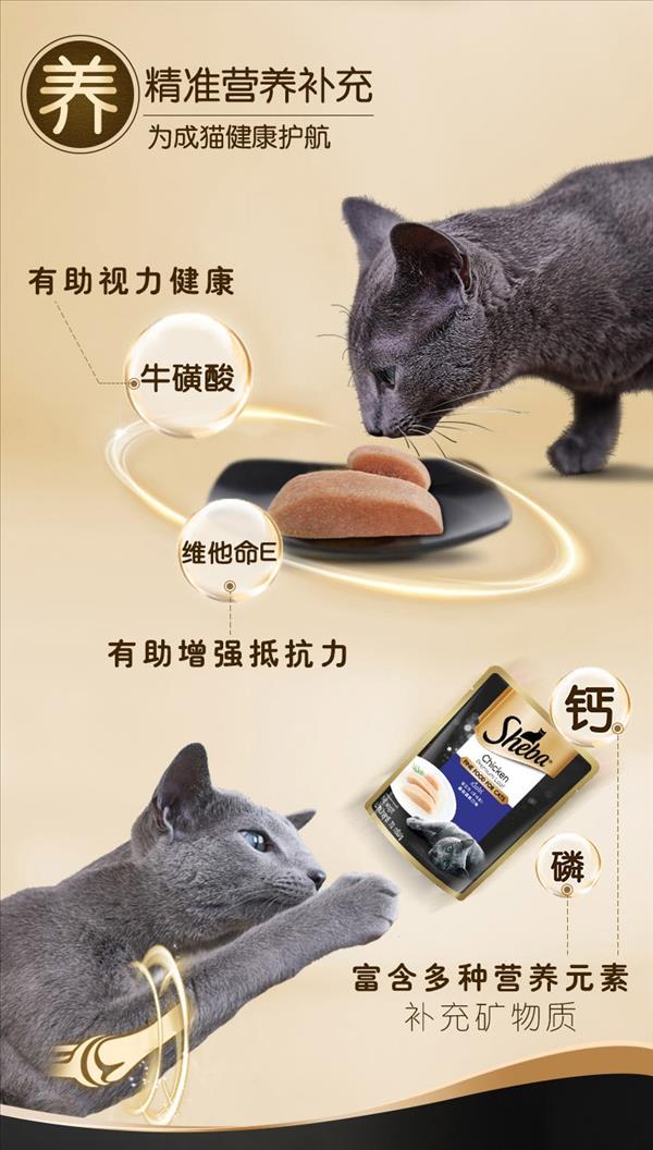 希宝 成猫吞拿鱼南瓜胡萝卜浓汤软包 70g*6包