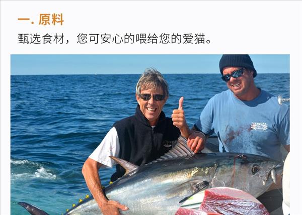 日本伊纳宝 妙好烤鲣鱼浓汤味猫湿粮 单支 猫零食