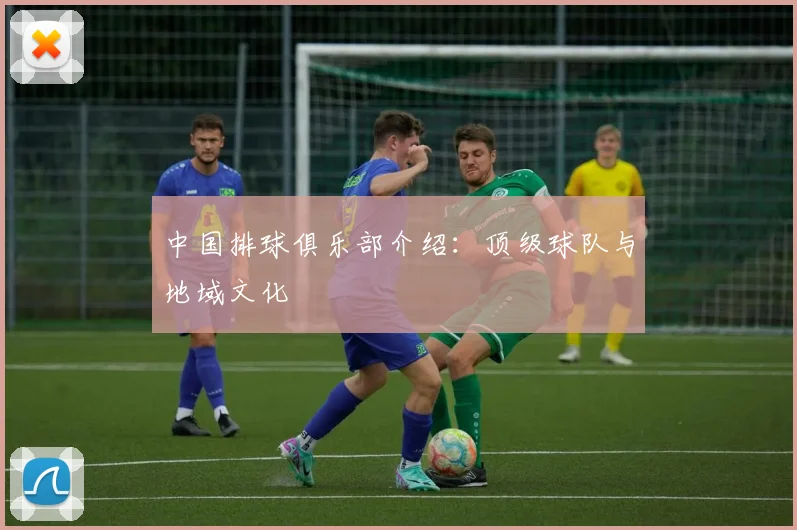 中国排球俱乐部介绍：顶级球队与地域文化