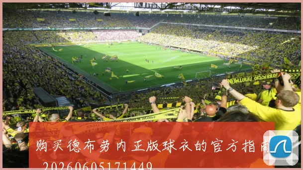 购买德布劳内正版球衣的官方指南_20260605171449
