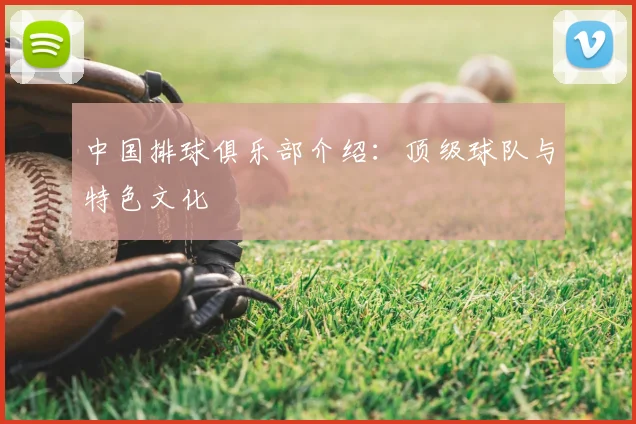 中国排球俱乐部介绍:顶级球队与特色文化