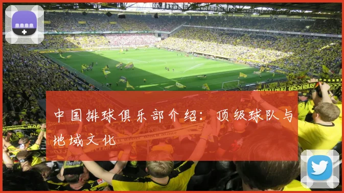 中国排球俱乐部介绍：顶级球队与地域文化