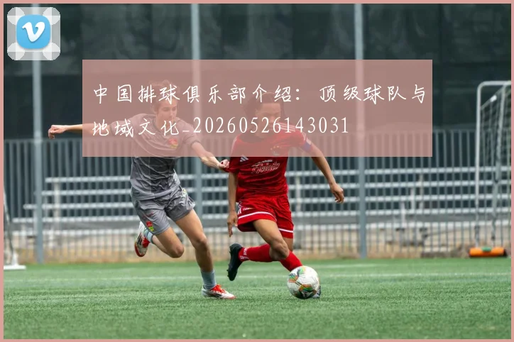 中国排球俱乐部介绍：顶级球队与地域文化_20260526143031